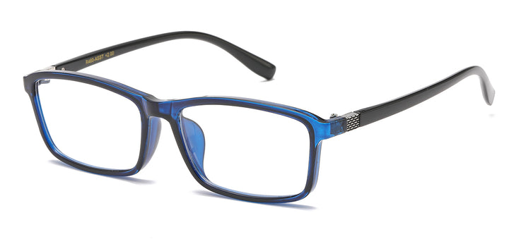 Reading Glasses R460-ASST