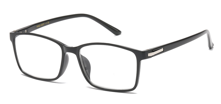 Reading Glasses R462-ASST