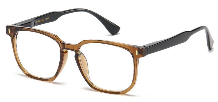 Reading Glasses R466-ASST