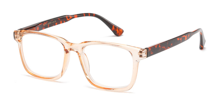 Reading Glasses R473-ASST