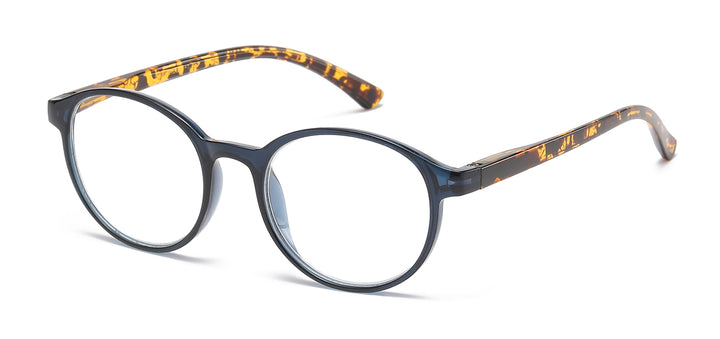 Reading Glasses R479-ASST