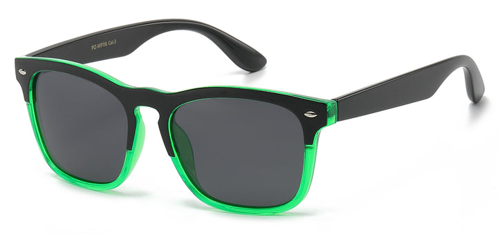 Polarized Retro Rewind PZ-WF08