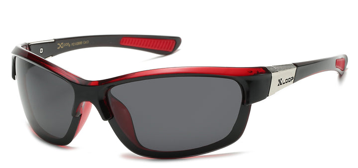 Polarized XLoop PZ-X2690