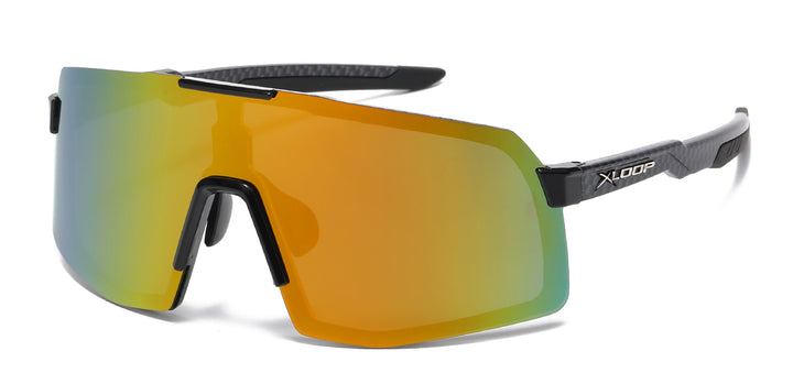 Polarized XLoop PZ-X3699