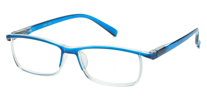 Reading Glasses R438-ASST