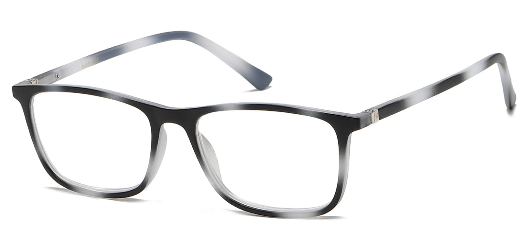 Reading Glasses R440-ASST