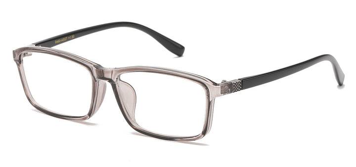 Reading Glasses R460-ASST