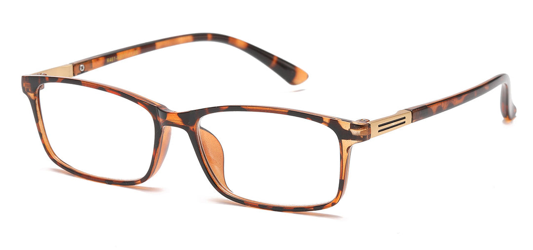 Reading Glasses R461-ASST