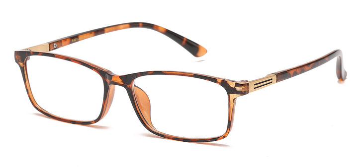 Reading Glasses R461-ASST