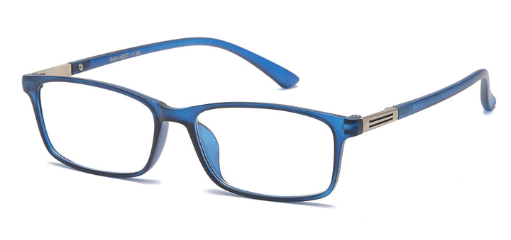 Reading Glasses R461-ASST