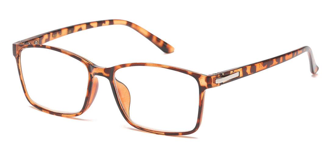 Reading Glasses R462-ASST