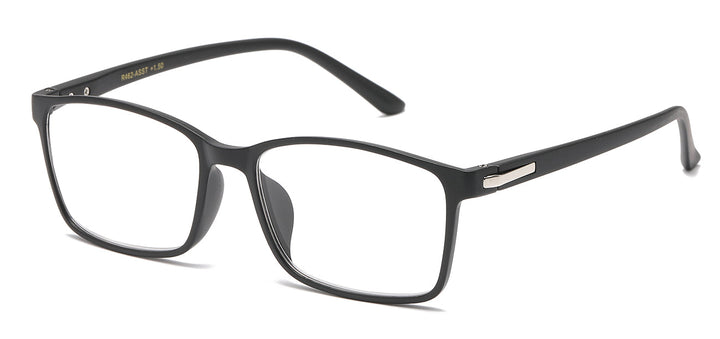 Reading Glasses R462-ASST