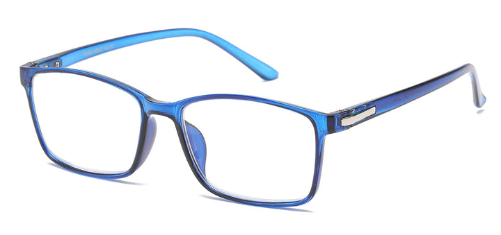 Reading Glasses R462-ASST