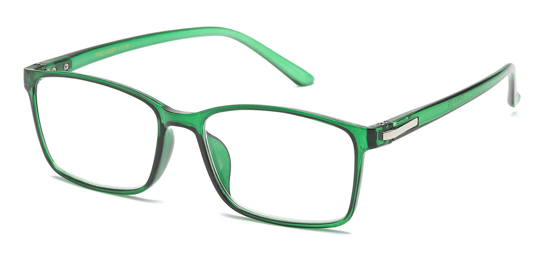 Reading Glasses R462-ASST