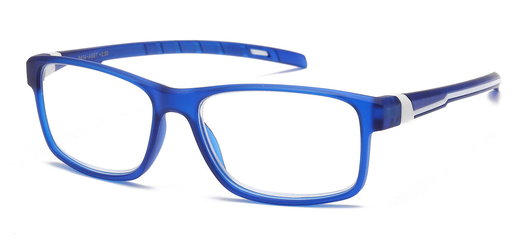 Reading Glasses R464-ASST