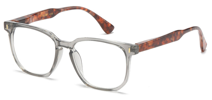 Reading Glasses R466-ASST