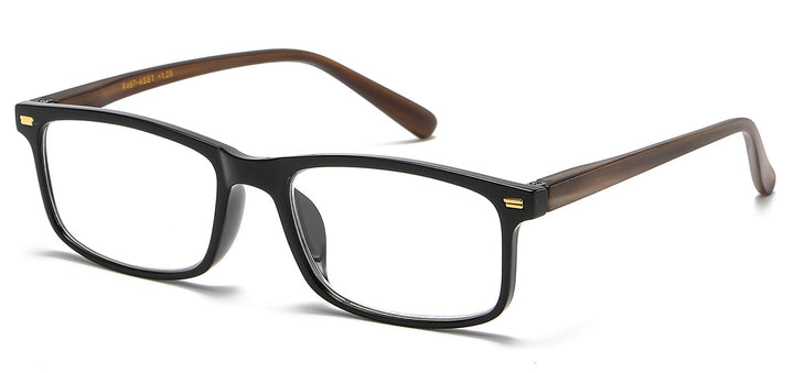 Reading Glasses R467-ASST