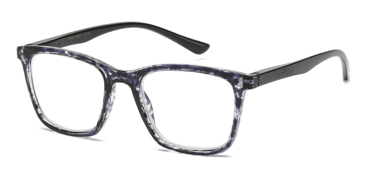 Reading Glasses R469-ASST