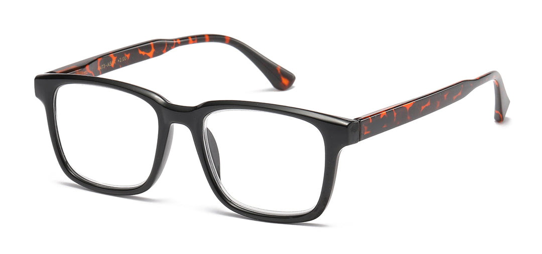 Reading Glasses R473-ASST