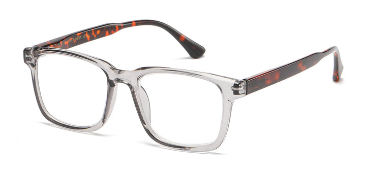 Reading Glasses R473-ASST