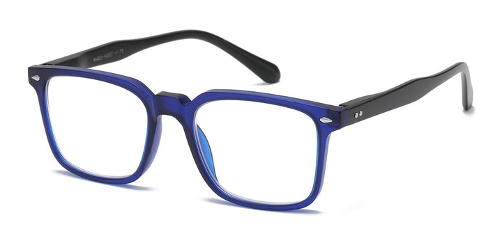 Reading Glasses R482-ASST