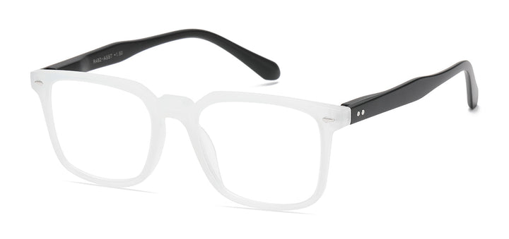 Reading Glasses R482-ASST