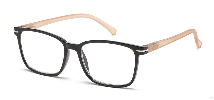 Reading Glasses R484-ASST