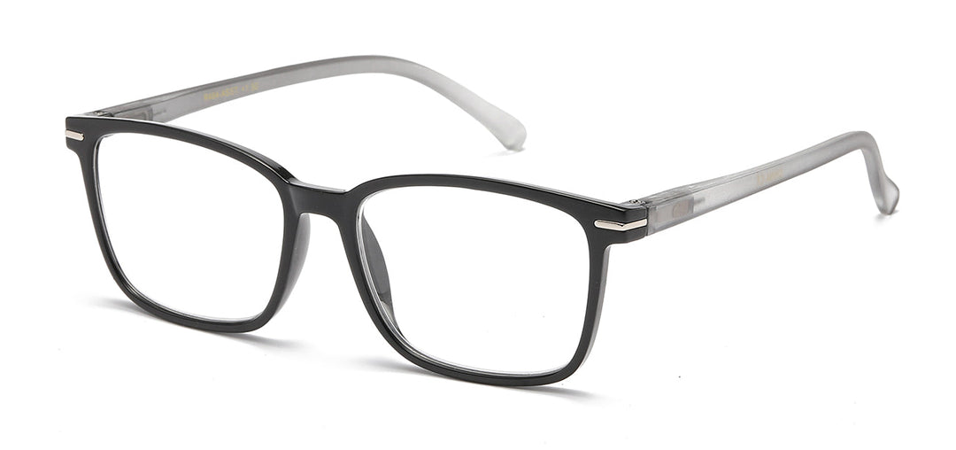 Reading Glasses R484-ASST