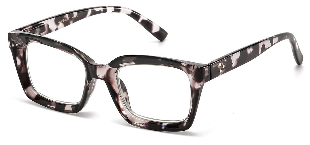 Reading Glasses R485-ASST