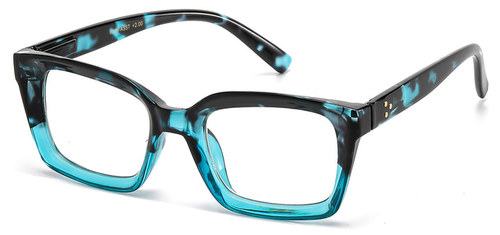 Reading Glasses R485-ASST