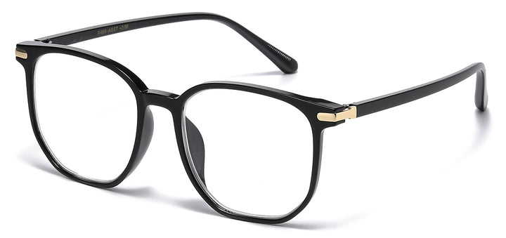 Reading Glasses R489-ASST