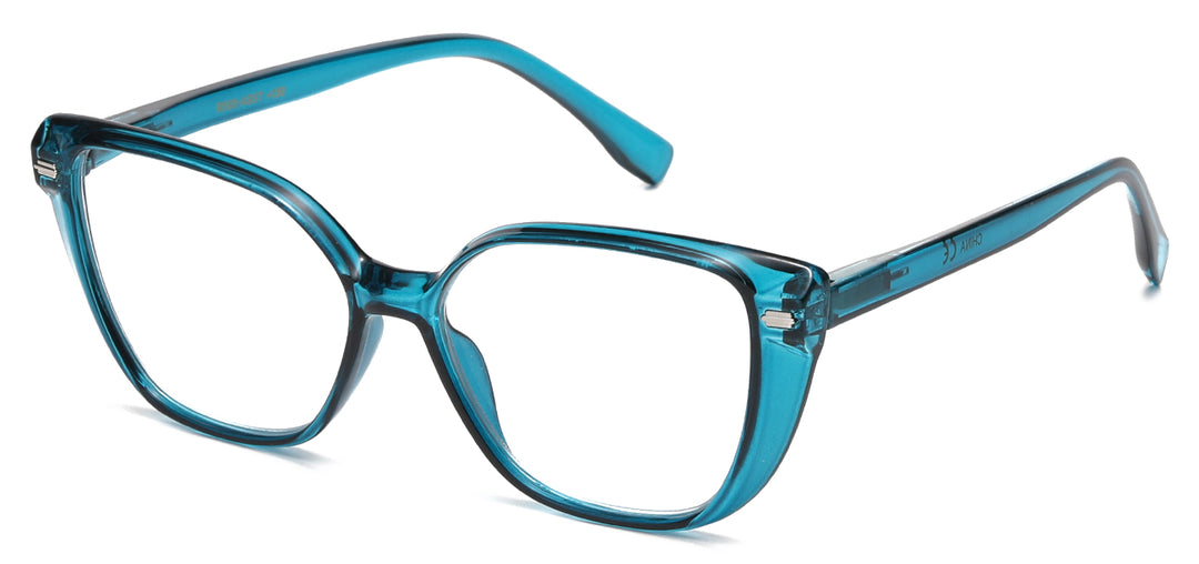 Reading Glasses R500-ASST